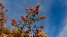 Autunno