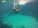 Fra in immersione