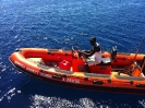 Rescue Roseau