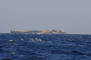 Flat Island