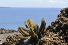 Galapagos Bartolomé