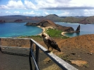 Falco e le due baie