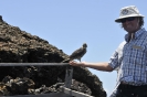 Romi con il falco delle Galapagos