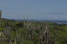 Santa Cruz