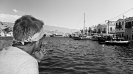 Castellorizo