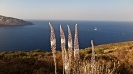 Grecia, semplicemente Grecia