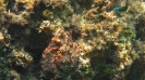 Lindos sott'acqua