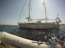 A Go Go in baia