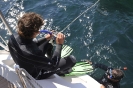 Lezione sub 8