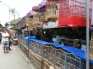 Bird market
