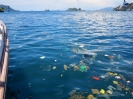 Ecologia zero
