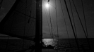 Mare