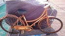 Bici da marina