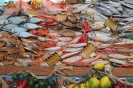 Banco del pesce