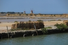 Trapani, le saline