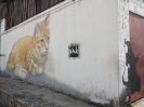 Murales