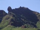 Tartaruga gigante