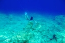 Apnea
