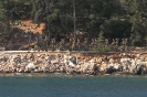 Castellorizo