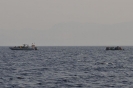 Coste di Kos