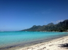 I colori del mare