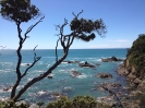La costa