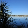 Laghetto Witiroa Reserve