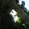 Arco all'Oparara Basin