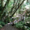 Foresta Oparara Basin