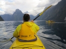 Kayak nel Milford Sound