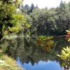 Mirror Tarn