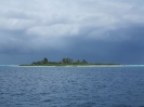 Bird Island