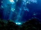 Giochi di luce nelle grotte subacquee