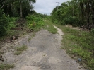 Vecchia pista d'atterraggio giapponese a Munda