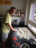 Gnocchi informatici