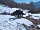 Sulla neve a Cardada