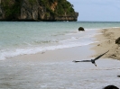 Chicken Island