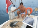 Il primo pesce dopo mesi, un makarel