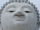 The Big Buddha
