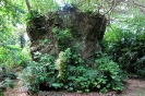 Roccia Lysepsep