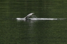 VANUATU Malekula
