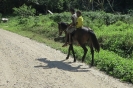 Bimbi a cavallo