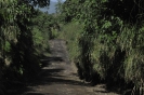 VANUATU Tanna