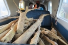 Trasporto legna