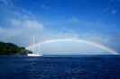 A Go Go e l'arcobaleno