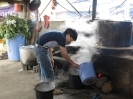 Preparazione erbe 