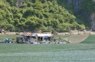 Pescatori della baia