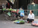Verdure